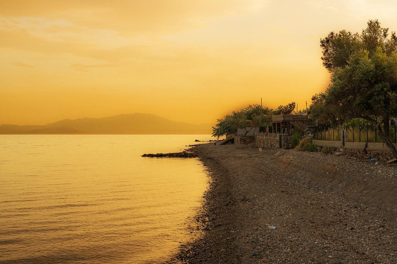 Kayalar Blue Beach Hotel Sazlı Eksteriør billede