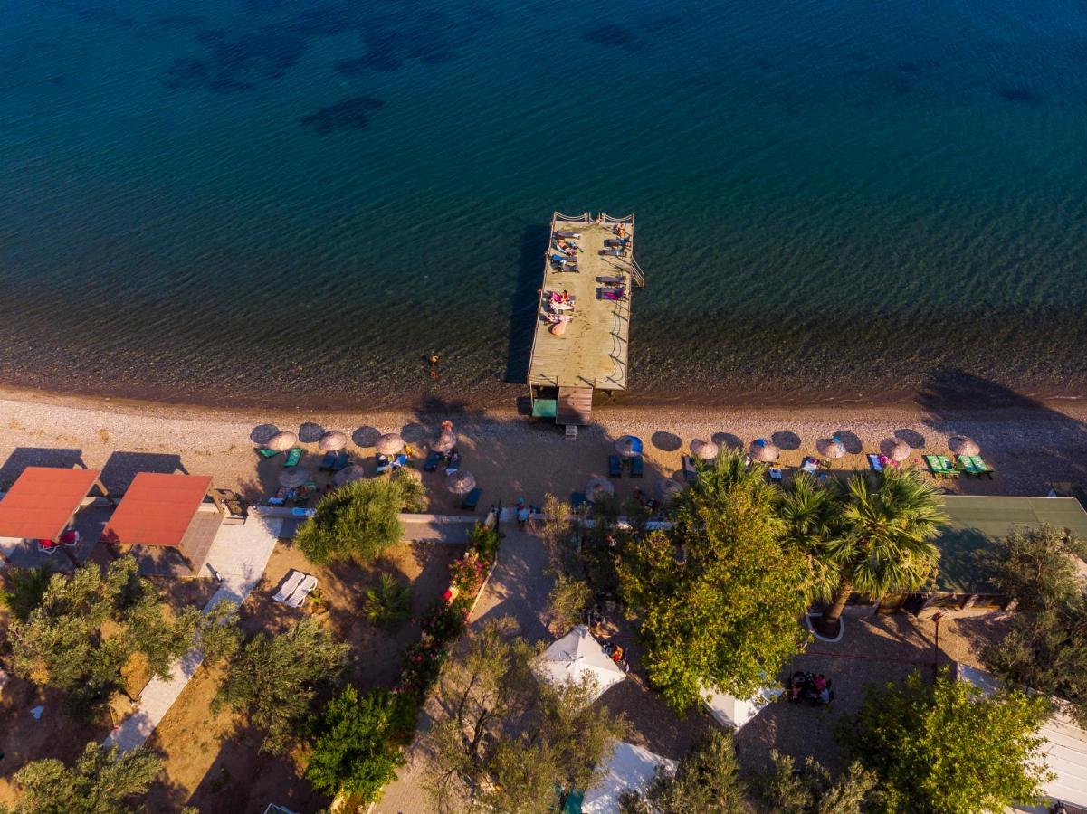 Kayalar Blue Beach Hotel Sazlı Eksteriør billede
